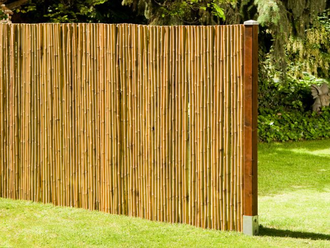 bambus sichtschutzzaun