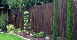 bambus sichtschutz im garten