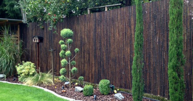 Bambus-Sichtschutz1Black bambus sichtschutz im garten