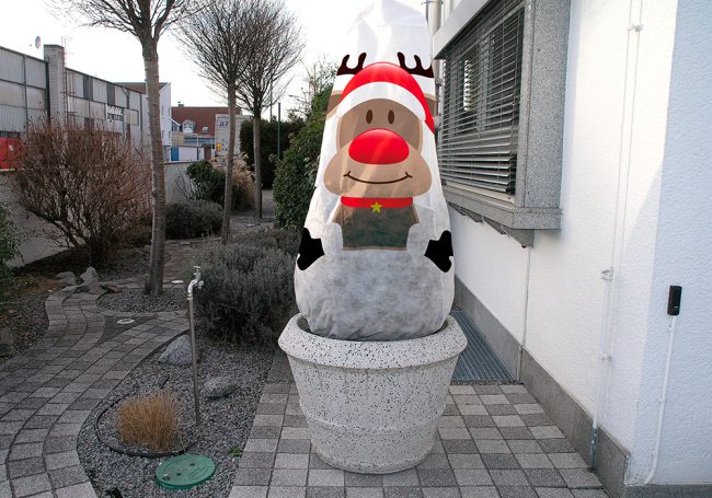 Winterschutz_Blog_Noor_3 winterschutz für pflanzen