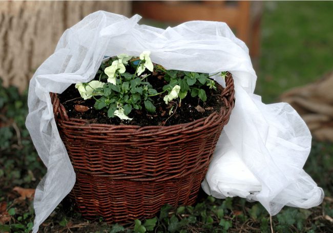 noor-gartenvlies NOOR Gartenvlies
