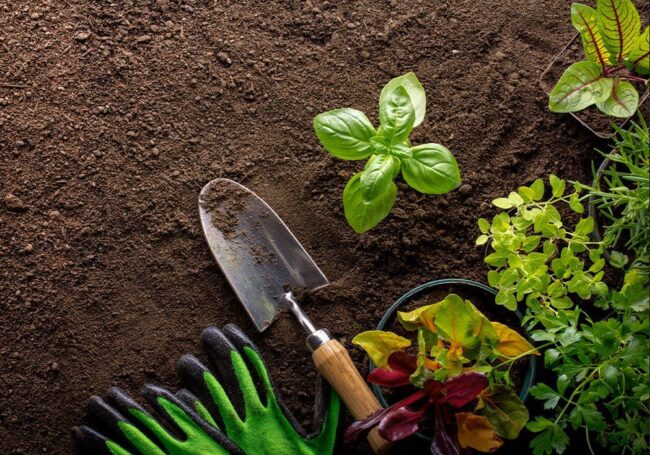noor-sommer-im-garten NOOR Sommer im Garten